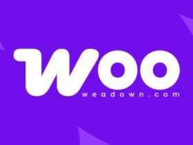 Anti-Fraud for WooCommerce is designed to help you pick up fraudulent transactions and catch them as they happen – by scanning and providing a score for each completed transaction made via your online store, based on a set of advanced scoring rules.