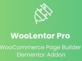 WooLentor Pro is a WooCommerce Page Builder Addon for Elementor Page Builder. WooCommerce Builder is included in this plugin to build custom product pages and archive pages.