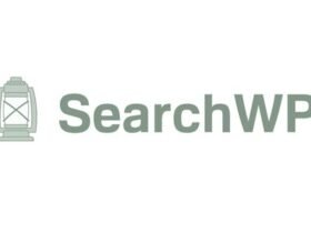 SearchWP instantly improve the search experience of your WordPress site today with SearchWP, the best WordPress search plugin you can find!